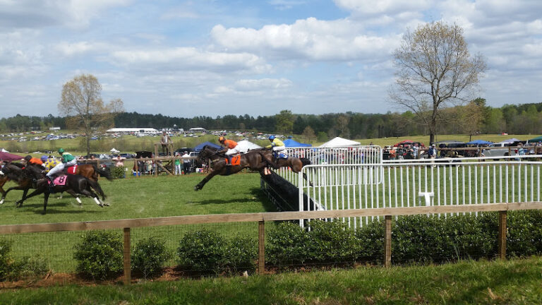 tryon riding hunt club 1 768x432