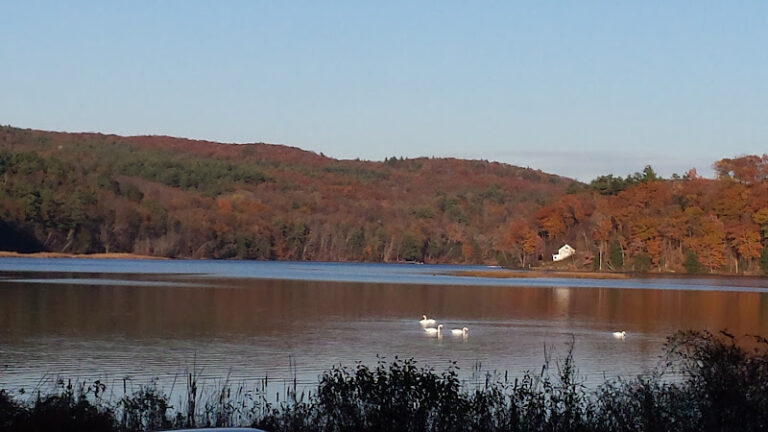 turners falls rod gun club 1 768x432