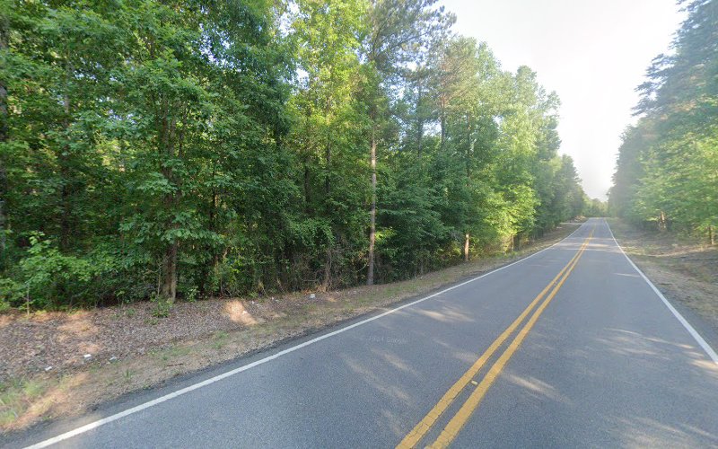 webers professional gun consulting 1