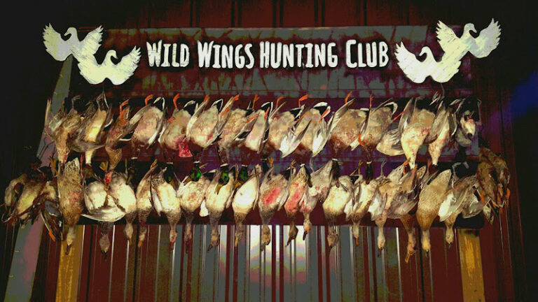 wild wings hunting club 1 768x432