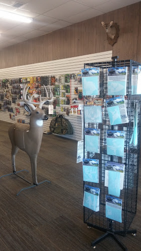 winchester archery 1