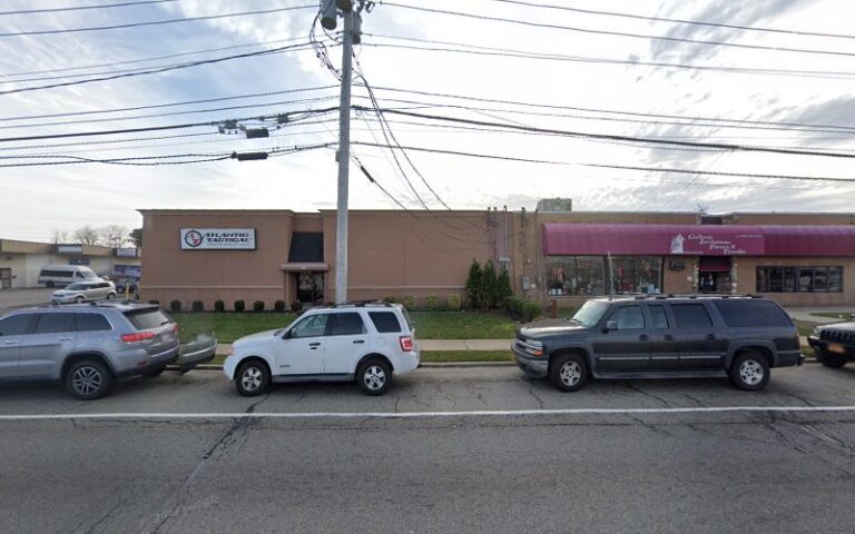 world of guns 1 768x480