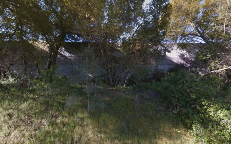 xzone custom rifles 1 768x480