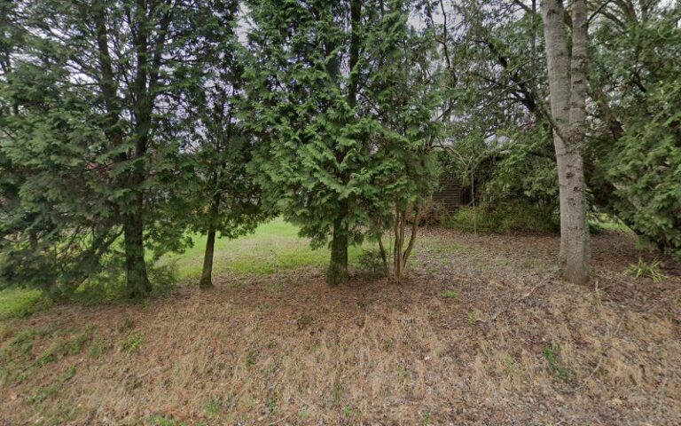 yadkin field archery 1 768x480