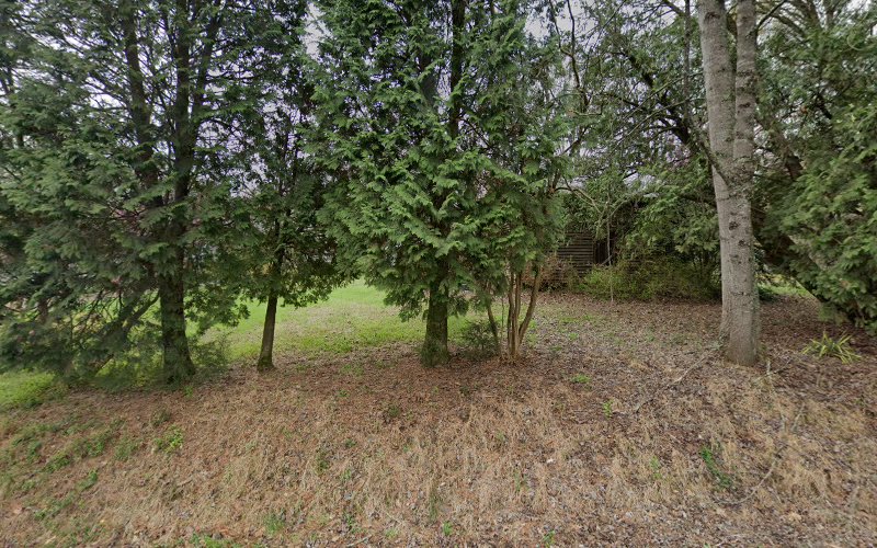 yadkin field archery 1