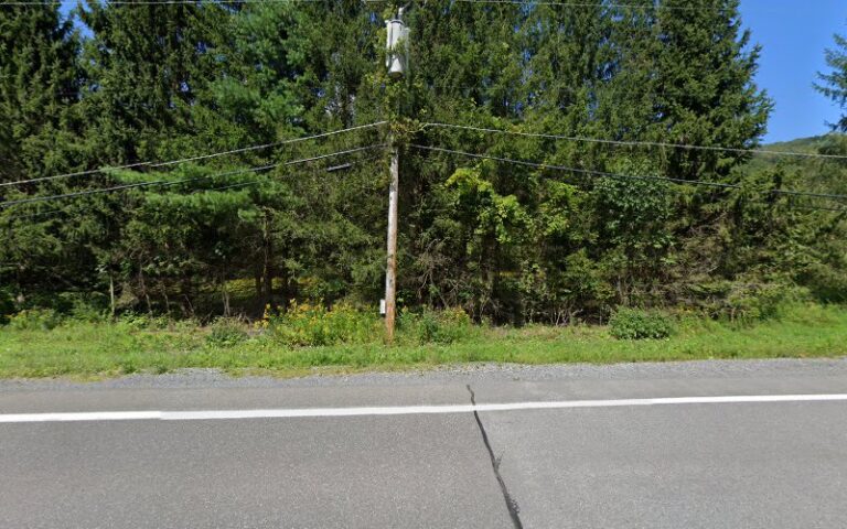 youth deer hunting photo contest 1 768x480