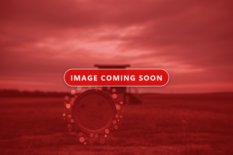 placeholder 04 768x512