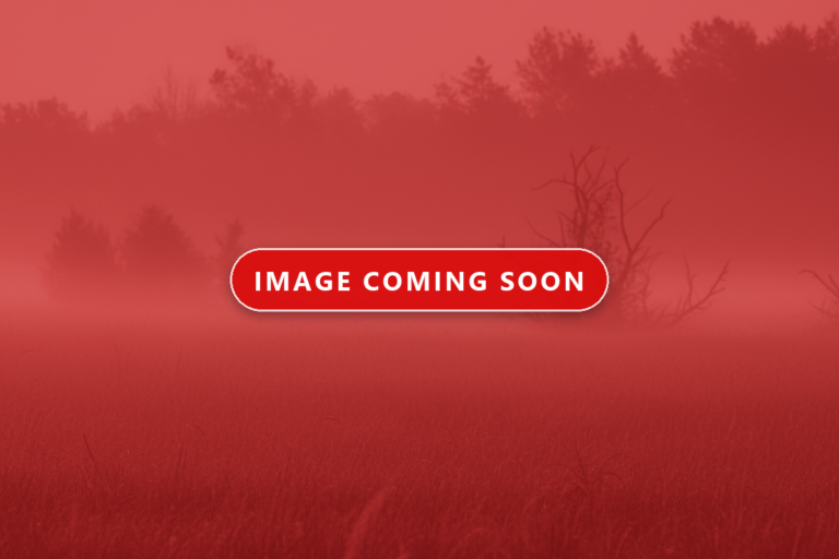 placeholder 14 768x512