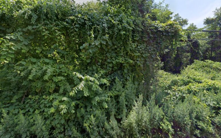 roslyn rifle revolver club range 1 768x480