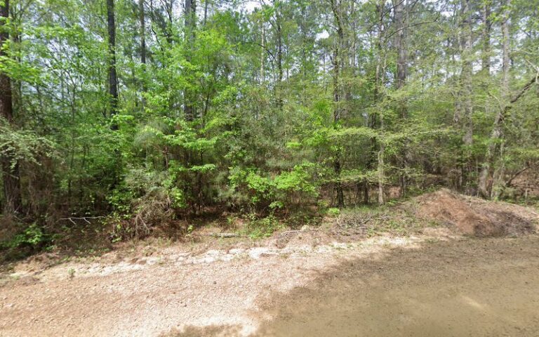 shucktown hunting club campsite 1 768x480